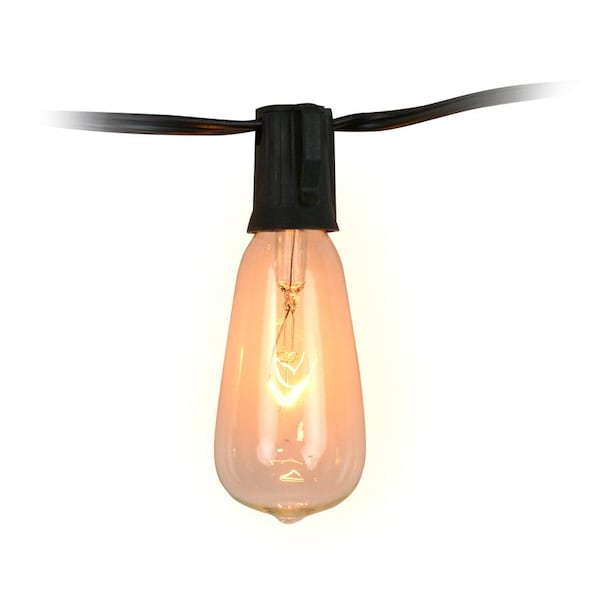 Living Accents Living Accents Incandescent ST40 Edison Light Set Clear 10 ft. 10 lights INCST4010CLA - main